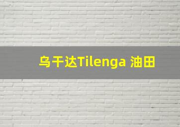 乌干达Tilenga 油田